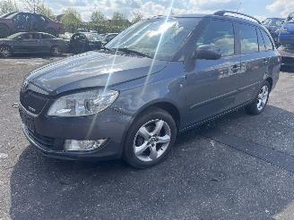 Salvage car Skoda Fabia  2011/1
