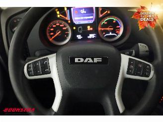 DAF XF 480 FTG Hydrauliek 6X2 Euro 6 picture 23