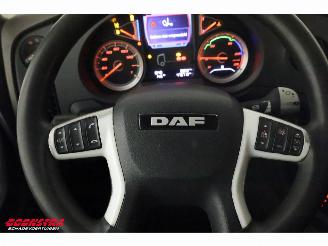 DAF XF 480 FTG Hydrauliek 6X2 Euro 6 picture 23