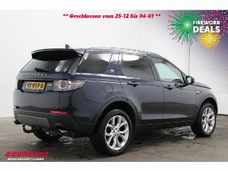 Landrover Discovery Sport 2.0 TD4 HSE VAN Commercial Navi Camera SHZ Leder picture 3