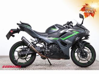 Kawasaki Ninja 500 SE Leo Vince ABS LED picture 7