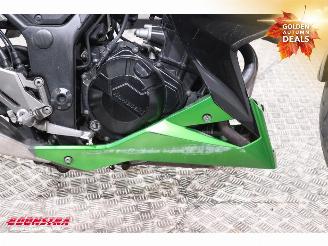 Kawasaki  Z 300 ABS picture 11