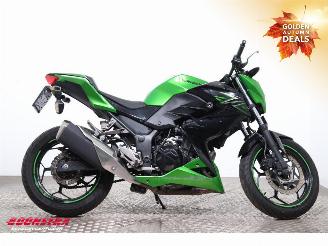 Kawasaki  Z 300 ABS picture 7