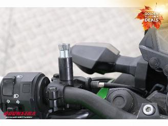 Kawasaki  Z 300 ABS picture 14
