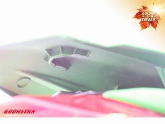 Kawasaki  Z 300 ABS picture 10