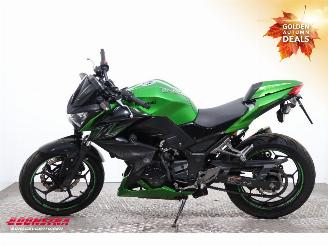 Kawasaki  Z 300 ABS picture 5