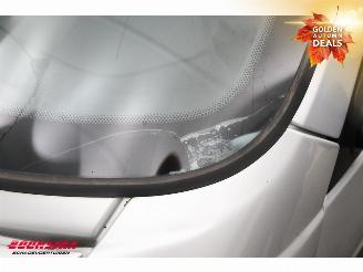 Microcar  CARGO DCI 14" LMV picture 6