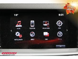 Opel Insignia Sports Tourer 1.5 Turbo Online Edition ACC Navi Clima Camera PDC picture 24