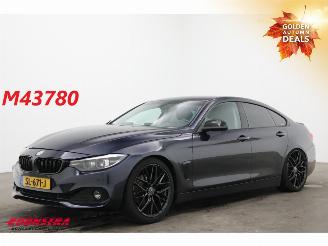 škoda osobní automobily BMW 4-serie Gran Coupé Gran Coupé 420i Executive LED Navi Clima Cruise Camera SHZ PDC 2018/4