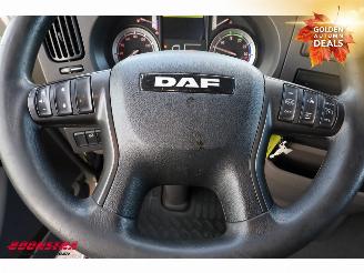 DAF LF 180 FA 4X2 Aut. Koffer LBW Clima Cruise picture 20