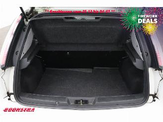 Fiat Punto Evo 1.4 Natural Power Easy CNG Airco Cruise AHK picture 18