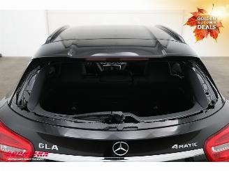 Mercedes GLA 250 4Matic AMG H/K Navi Camera Cruise picture 11