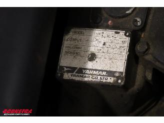  C6 Compact BY 2012 Rupshijskraan Raupenkran picture 20