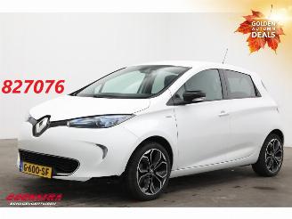 Unfallwagen Renault Zoé R110 Limited 41 kWh Incl. Accu! Navi Clima Cruise Camera PDC 2019/4