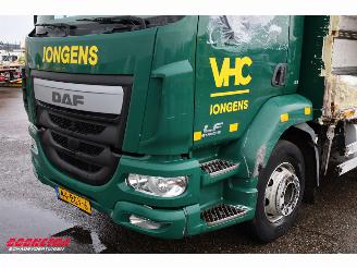 DAF LF 210 FA LBW Carrier Transicold 2xCompartments 313.910 km! picture 7