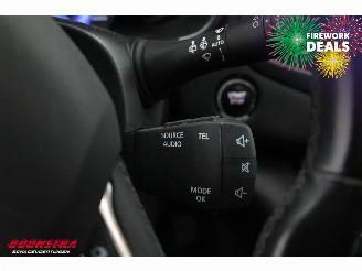 Renault Mégane Estate Grandtour 1.2 TCe Bose Pano Navi Clima Cruise picture 21