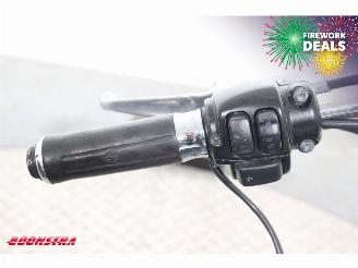 Harley-Davidson  FLSTC Heritage Softail Classic Python BY 2008 picture 20