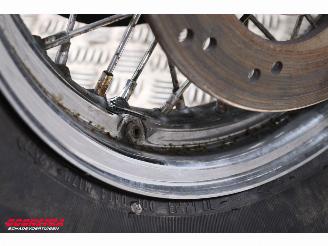 Harley-Davidson  FLSTC Heritage Softail Classic Python BY 2008 picture 16