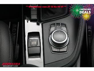 BMW X1 sDrive20d Aut. M-Sport LED ACC H/K Pano SHZ Camera picture 33