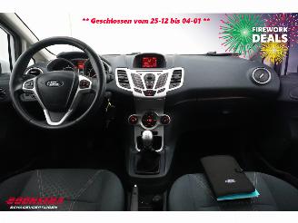 Ford Fiesta 1.6 TDCi ECOnetic Titanium Clima Cruise PDC picture 7