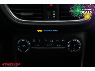 Ford Fiesta 1.0 EcoBoost Hybrid Titanium Navi Clima Cruise PDC picture 22