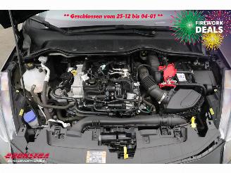 Ford Fiesta 1.0 EcoBoost Hybrid Titanium Navi Clima Cruise PDC picture 8