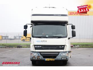 DAF LF 45 Glasresteel 4X2 Euro 5 picture 9