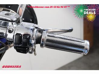 Harley-Davidson  FLHR Road King LED Sissybar picture 14