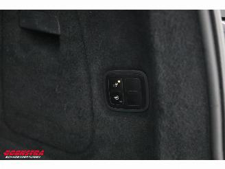 Porsche Cayenne 3.0 S E-Hybrid Sport Design BiXenon Memory Leder SHZ AHK picture 26