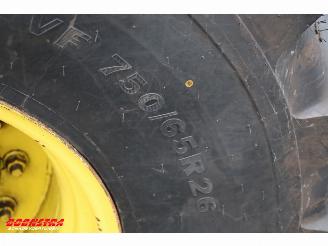   RBL230 Rübenroder Restauriert 09-2025! Bietenrooier 7.028 Uur picture 46