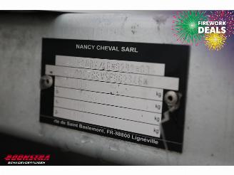   Roadster 500 Tandemasser 2t BY 2025 picture 11