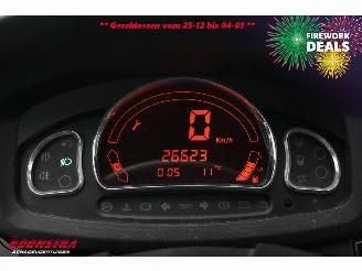 Microcar  M8 Premium DCI Leder 26.623 km! picture 10