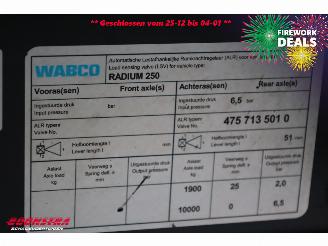   RADIUM 250 Silagewagen Stuuras 41.5m3 BY 2020 picture 22