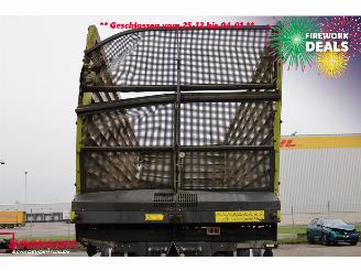   RADIUM 250 Silagewagen Stuuras 41.5m3 BY 2020 picture 21