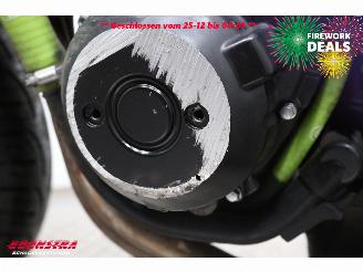 Kawasaki Z 1000 Z 1000 Leo Vince picture 12