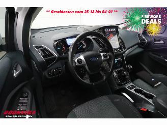 Ford C-Max 1.6 TDCi Lease Titanium Navi Clima Cruise PDC picture 13