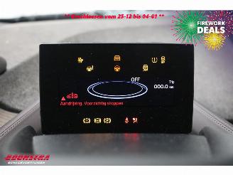 BMW i3 S 120Ah 42 kWh LED ACC Leder Camera SHZ picture 22