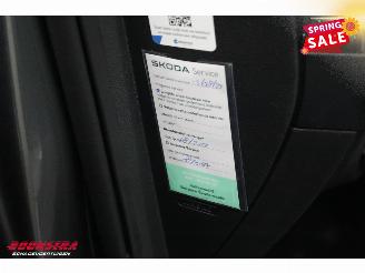 Skoda Karoq 1.5 TSI DSG Style LED Virtual ACC LRHZ Camera AHK picture 27