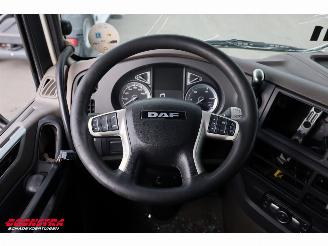 DAF XF 480 LBW Bak-Klep LBW Dhollandia Leder 6X2 picture 29