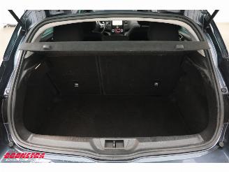 Renault Mégane 1.2 TCe Limited Navi Clima Cruise PDC picture 16