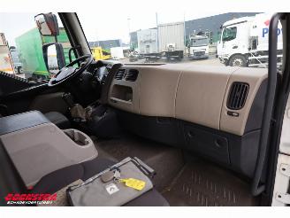 Renault Midlum 220.12 Kuhlkoffer Thermo King Dhollandia LBW Euro 5 picture 16