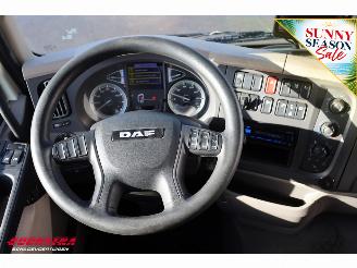 DAF LF 210 FA Aut. LBW Bak-Klep Dhollandia ACC 368.328 km! picture 22