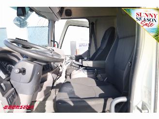 DAF LF 210 FA Aut. LBW Bak-Klep Dhollandia ACC 368.328 km! picture 29