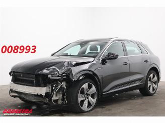 Vaurioauto  passenger cars Audi E-tron 55 quattro 95 kWh Pano LED Cruise SHZ PDC 2019/5