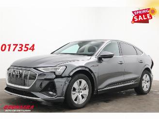 uszkodzony samochody osobowe Audi E-tron 55 quattro S edition 95 kWh LED ACC Apple/Android Camera SHZ 2022/12