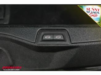 BMW X5 xDrive45e Executive Pano LED ACC H/K Camera LRHZ AHK picture 43