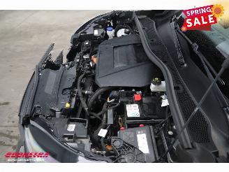 Peugeot e-2008 EV GT 50 kWh Navi Clima Cruise Camera PDC picture 10