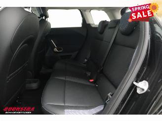 Mini Mini E Classic L 42.5 kWh Pano LED ACC H/K HUD 360° LRHZ picture 25