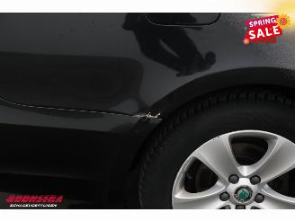 Skoda Superb Combi 1.6 TDI Greenline Ambition Memory Xenon Navi Cruise SHZ PDC picture 5