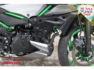 Kawasaki  Z500 SE ABS LED picture 10